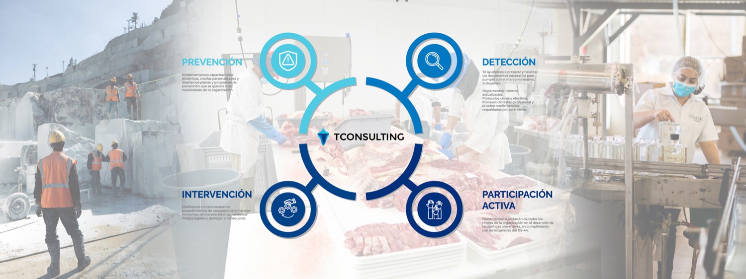 Los cuatro pilares del enfoque de TConsulting: prevención, detección, intervención y participación activa, sobre imágenes de faenas de construcción, planta de alimentos y embotellado